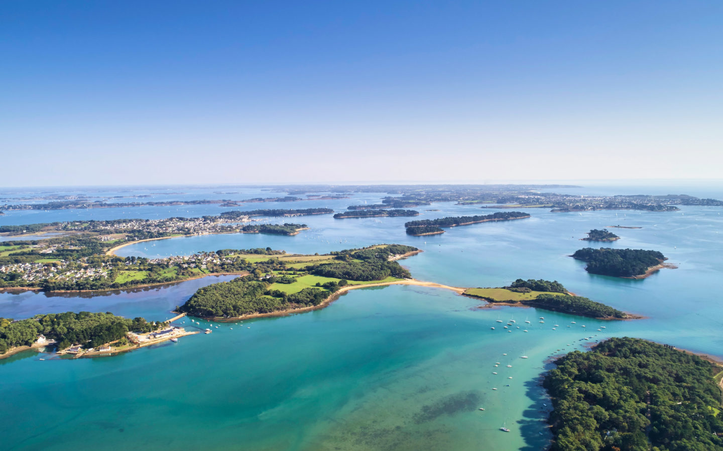 Explorer une île à marée basse dans le Golfe du Morbihan