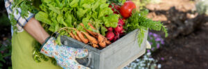 Légumes
